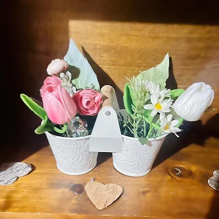 La Bicicletta Bed & Breakfast